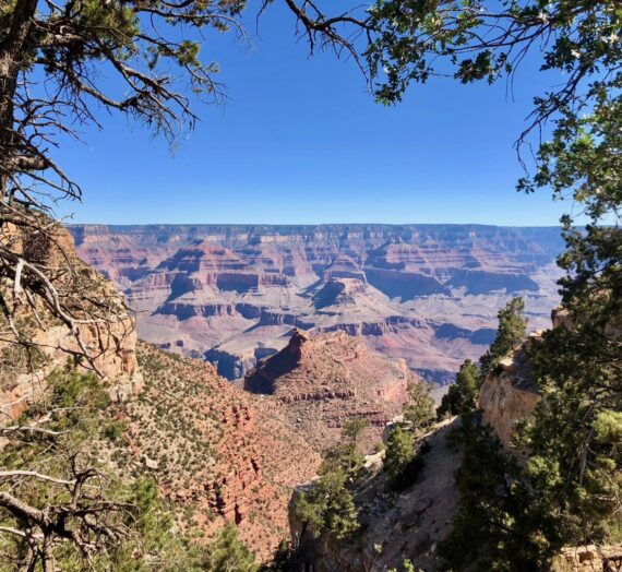 Grand Canyon Travel Guide: Seeing the South Rim