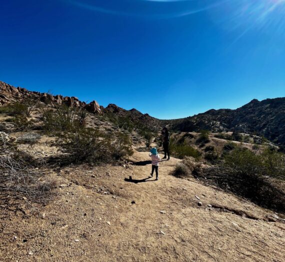 Tips for Visiting Joshua Tree with a Baby and a Toddler